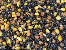 Prepared Hemp, Maize & Tiger -