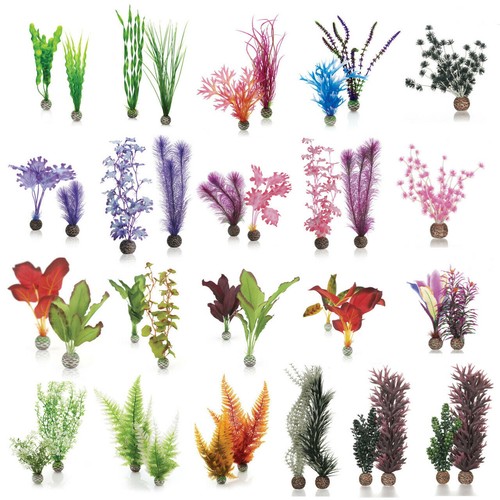 Oase biorb easy plant - biorb, kelp