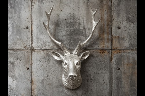 Stag head wall art animal - art,