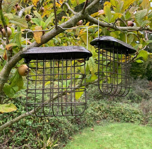 Hanging metal suet block bird - hanging,