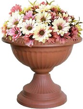 Grecian Urn Planter Plant