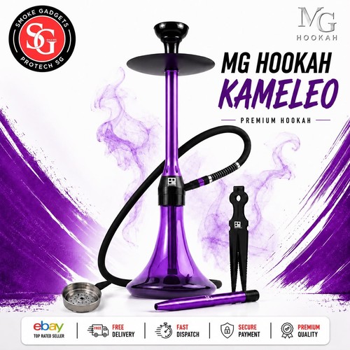 Hookah the chameleon - mg,
