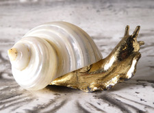 Gilded Metal Snail in Real Mother of Pearl Turban Sea Shell Figurine