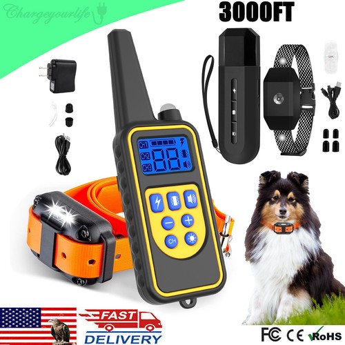3000 dog training - ft,