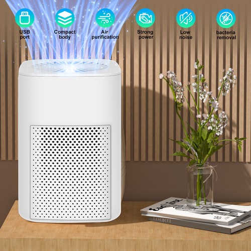 Air purifiers for large room - for,