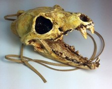 Aztec Death Whistle - The Carnivore -  LOUD, hand crafted, Used in GoT