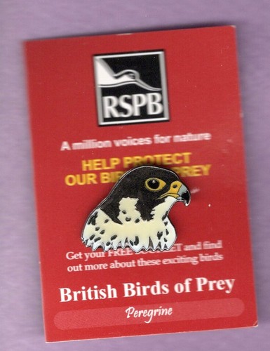 Rspb pin badge - rspb,