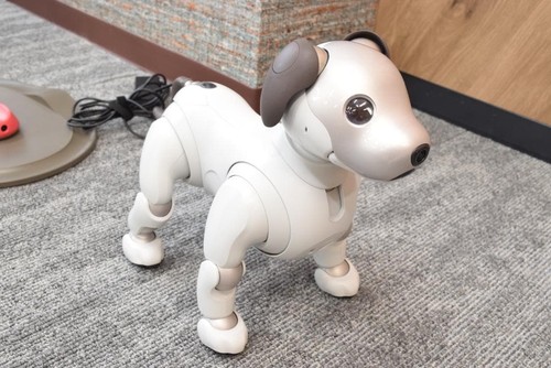 Sony aibo ers1000 robot dog - sony,