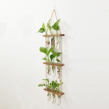 Wall Hanging Propagation