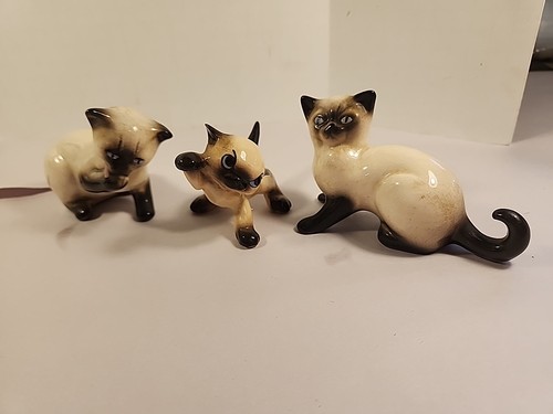 Vintage siamese cat kitten - siamese,