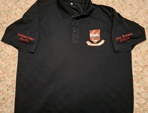 Ballina stephenites gaa - ballina,