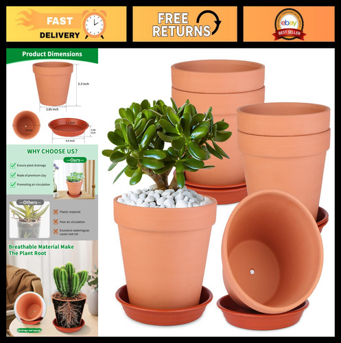 Pack terracotta clay pots - pack, 6"
