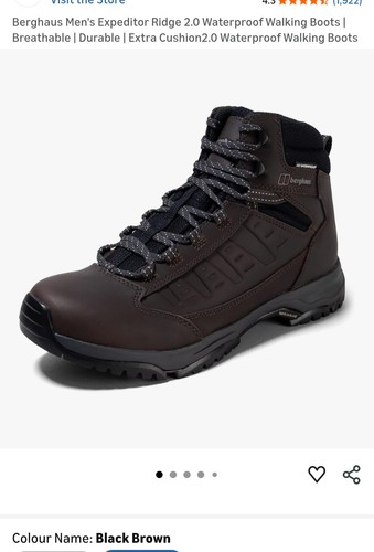 Berghaus men expeditor ridge - men's,