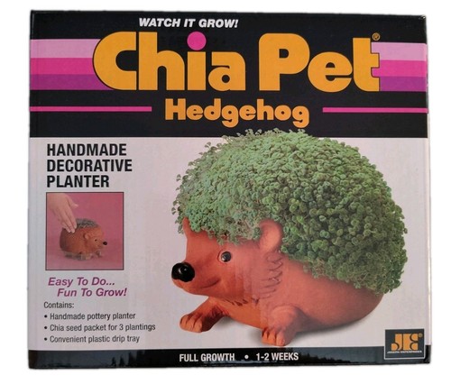 Chia pet hedgehog - pet,