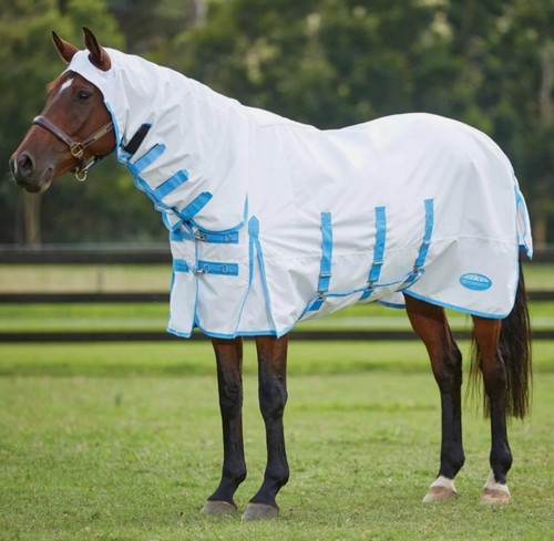 Weatherbeeta sweet itch - weatherbeeta,