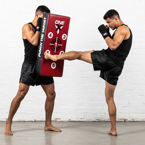 Kick pads boxing training - kick,