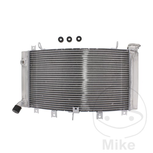 Jmp radiator fits - fits, gsx