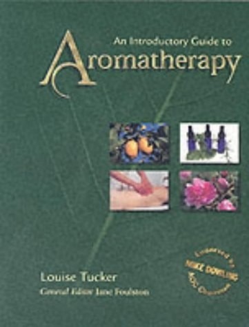 Introductory guide to - introductory,