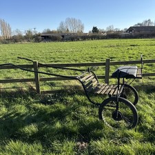 horse pony trap cart carriage