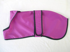 Clearance 17" 43cm WHIPPET