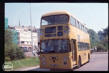 Copy Bus Slide - Yellow Buses