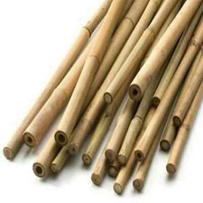 6ft Thick Bamboo Cane Strong