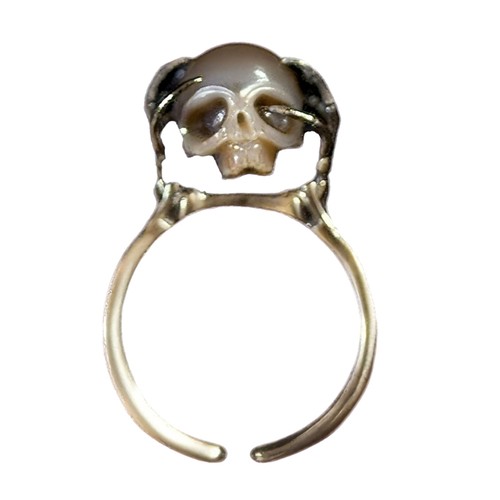 Retro gothic skull - skull, rings