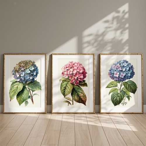 Set vintage botanical - of,