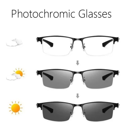 Bifocal reading glasses - bifocal,
