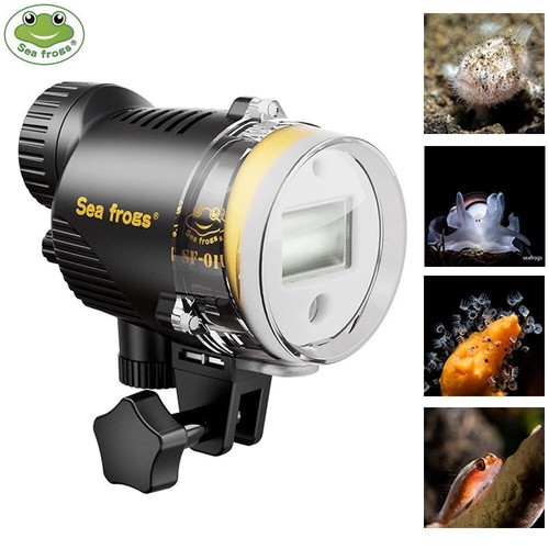 Seafrogs 100m 325ft - sf-01, 100m/325ft