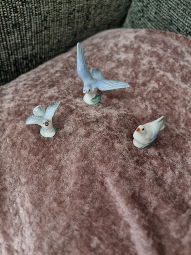 Mini vintage seagull - 3,