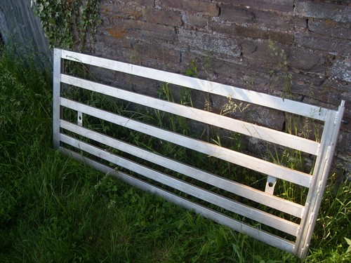 Nugent trailer sheep - nugent, gate