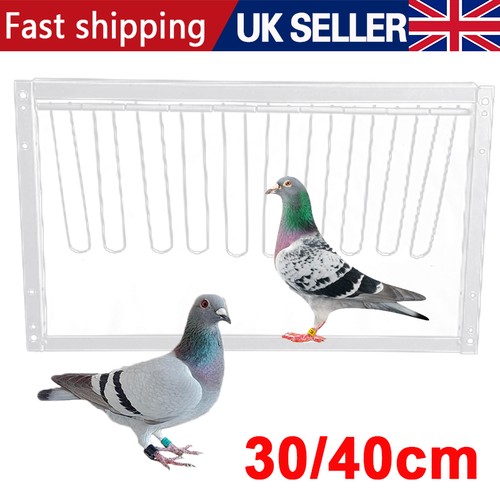 Removable trap door bird cage - removable,