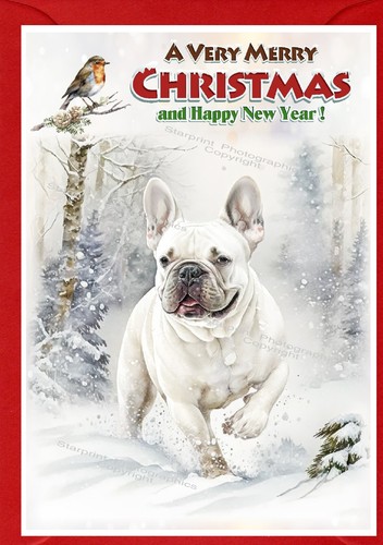 French bulldog christmas card - christmas,