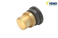 TEMPERATURE SWITCH RADIATOR