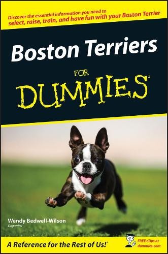 Boston terriers for - terriers, by