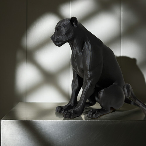 Black panther garden any - any, room