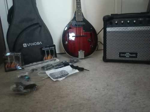 Vangoa style mandolin - a,