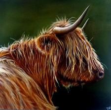 Highland Cow Painting On