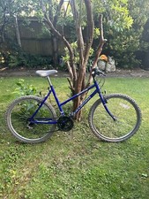 Raleigh 18 Speed Ladies Bike