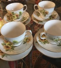 Royal Vale Vintage Bone China