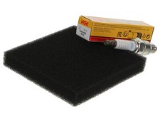 Air Filter & NGK Spark Plug