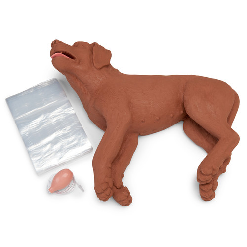 Casper cpr training - cpr,