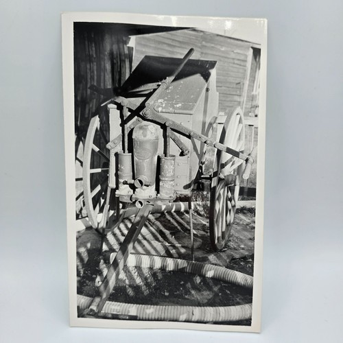 Vintage photo 1970 - photo, horse