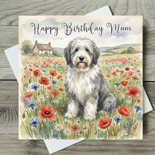 Old english sheepdog birthday - old,