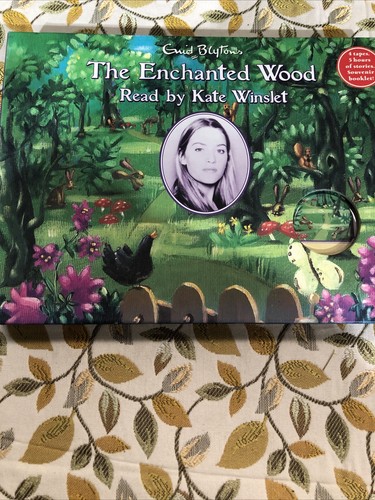 The enchanted wood - the,
