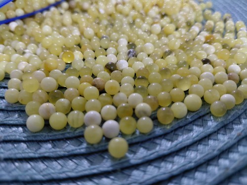 Natural baltic round yolk - round,