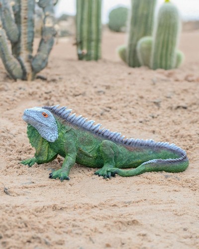 Realistic iguana lizards - iguana,