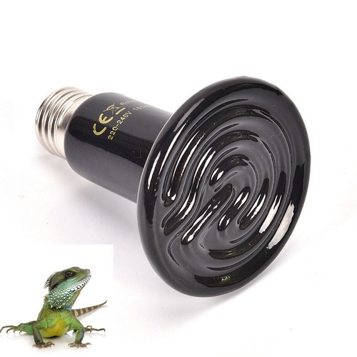 100w ceramic pet - ceramic, light