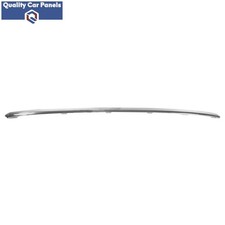 Rear Bumper Moulding Chrome